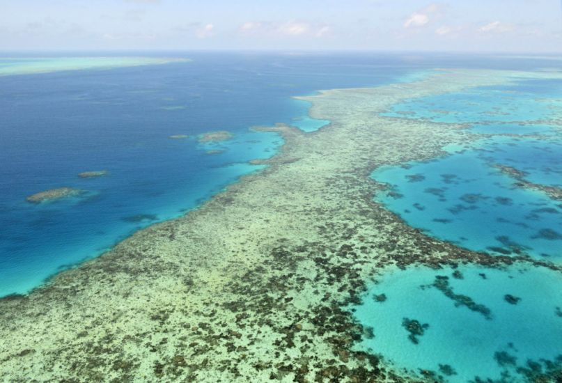 Australia Fights Un Plan To Downgrade Great Barrier Reef’s World Heritage Status