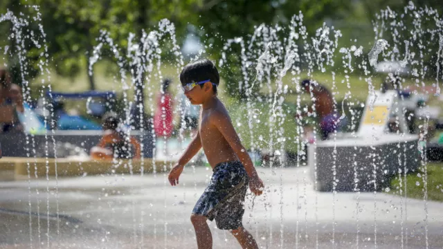 Hundreds Of Deaths Could Be Linked To Us-Canadian Heatwave
