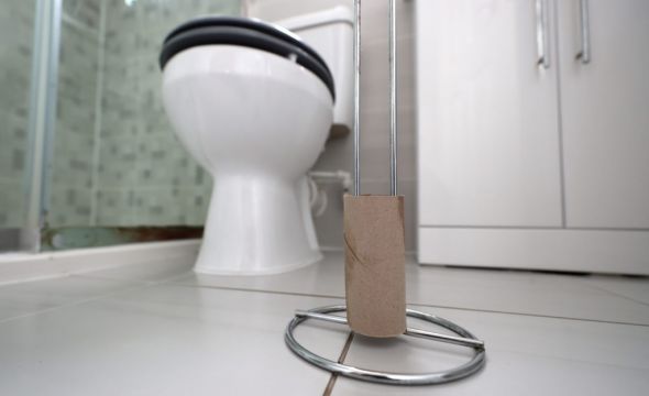 One Million Flush Unsuitable Items Down Their Toilet In Ireland, Survey Finds