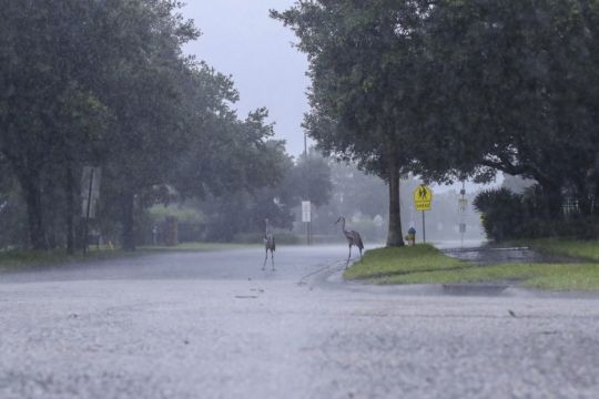 Weakening Elsa Makes Landfall But Florida Spared Significant Damage