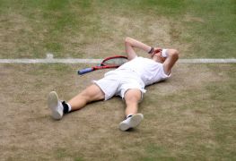 Shapovalov Reaches Wimbledon Semi-Finals, As Hurkacz Stuns Federer