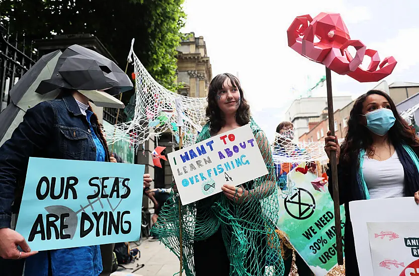 Protest Outside Leinster House Calling For Action To Protect Irish Seas