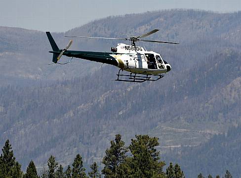 Killer Grizzly Bear Shot Dead After Rangers Set Night-Vision Trap