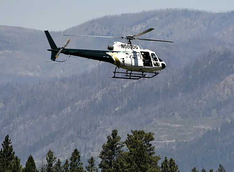 Killer Grizzly Bear Shot Dead After Rangers Set Night-Vision Trap