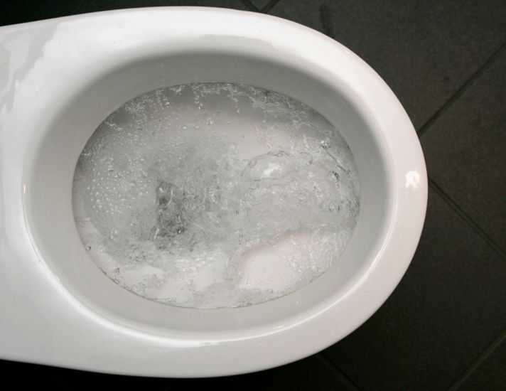 Paid To Use The Loo: New Toilet Turns Excrement Into Power And Digital Currency