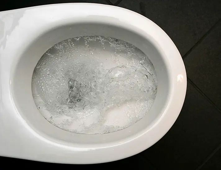 Woman Admits Cutting Off Husband's Penis And Flushing It Down Toilet After He Cheated