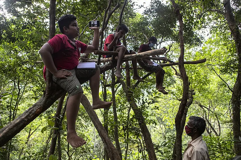 Children In Sri Lanka Climb Trees To Access Online School