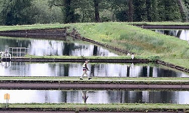 Sewage Flowing Into Irish Waterways Could &#039;Fill Three Olympic Swimming Pools&#039; Every Day