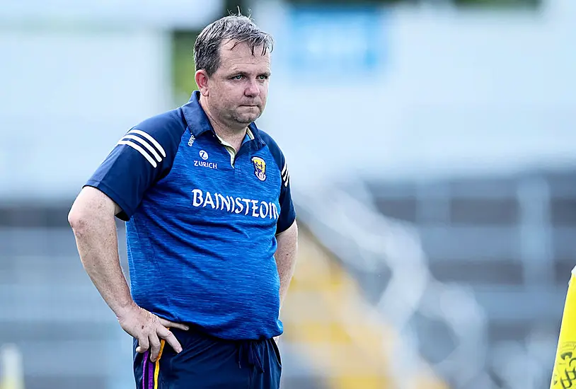 Davy Fitzgerald To Step Down As Wexford Hurling Manager