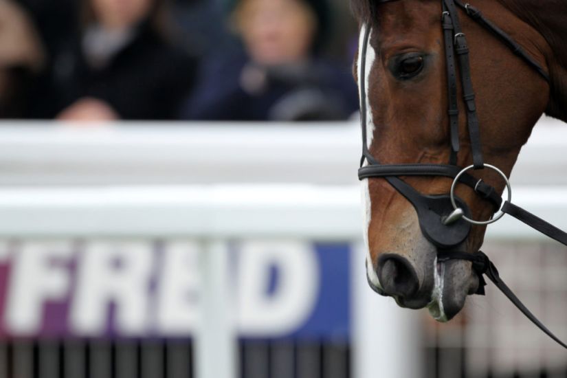 Equine Industry In Crisis As Amateur Races Are Being Axed Due To Insurance Cover