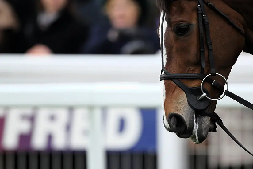 Equine Industry In Crisis As Amateur Races Are Being Axed Due To Insurance Cover