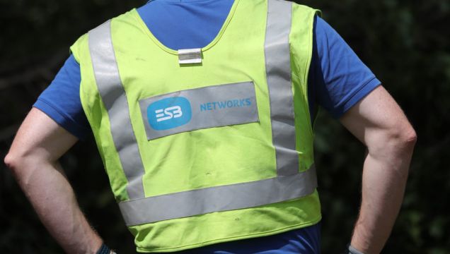 Case Of Esb Worker Suing Over Stag Attack Adjourned To Next Week