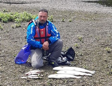 Major Fish Kill In West Cork's Skibbereen Under Investigation