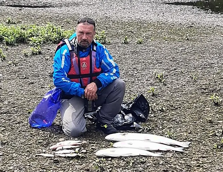 Major Fish Kill In West Cork's Skibbereen Under Investigation