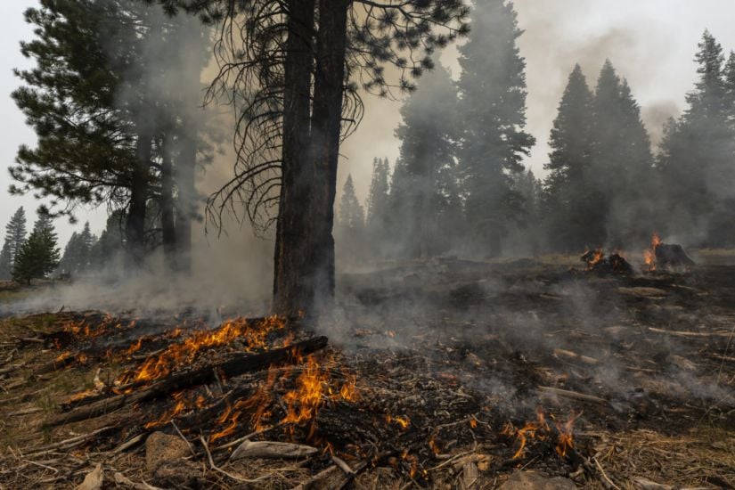 States Lend Support As Wildfires Blast Through Western Us