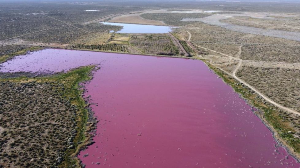 Pink Lagoon Has Argentine Environmentalists Seeing Red