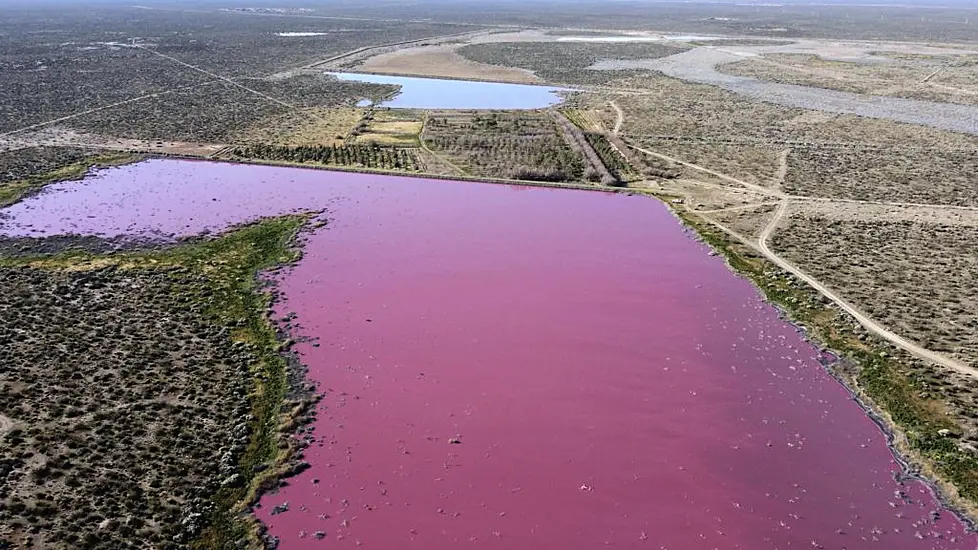 Pink Lagoon Has Argentine Environmentalists Seeing Red