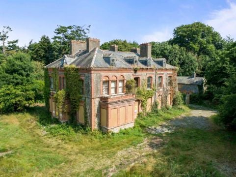 Crumbling Laois Mansion At Slashed Price In Hopes Buyer Will Restore Former Glory