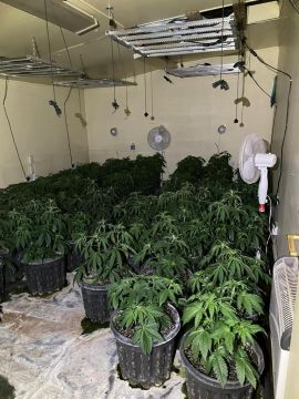 Gardaí Seize €560K Worth Of Drugs At Cannabis Grow House In Meath