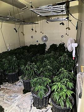 Gardaí Seize €560K Worth Of Drugs At Cannabis Grow House In Meath