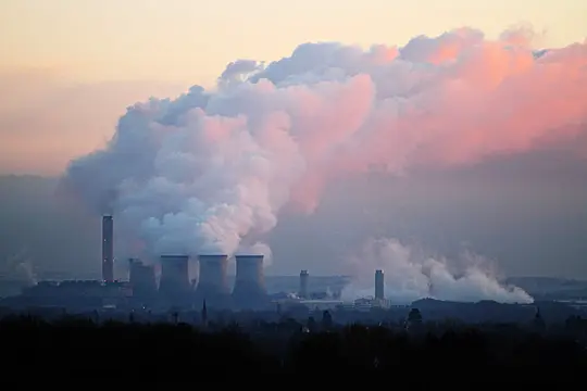 6 Simple Ways To Cut Your Carbon Emissions