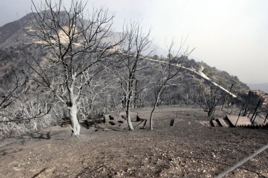 25 Soldiers Die Fighting Wildfires In Northern Algeria