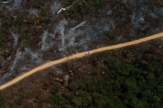 Data Reveals Third Year Of Vast Amazon Deforestation In Brazil