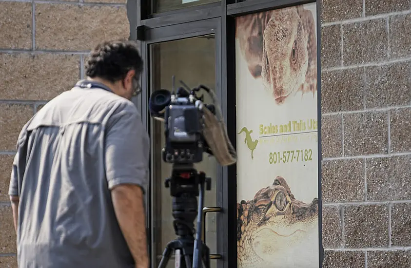 Visitor Performs Daring Rescue After Handler Dragged Into Enclosure By Alligator