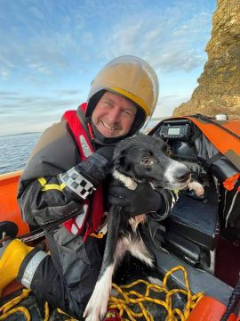 'Wonderdog' June Survives 180-Foot Fall From Cliffs