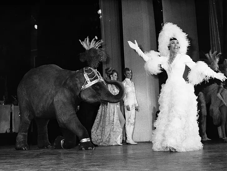 Josephine Baker First Black Woman To Receive Paris Burial Honour