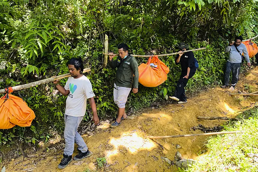 Three Endangered Sumatran Tigers Found Dead In Indonesian Forest