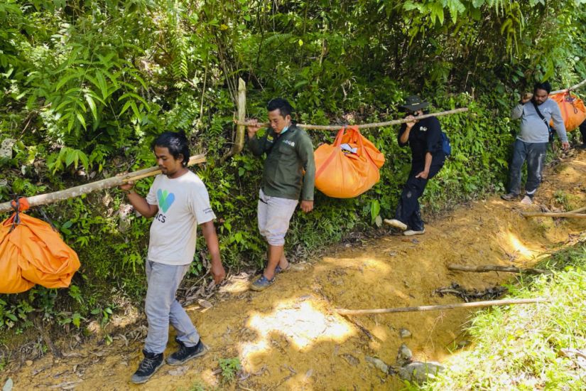 Three Endangered Sumatran Tigers Found Dead In Indonesian Forest