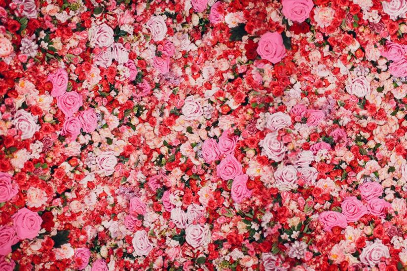 Diy Flower Walls Are Trending On Tiktok – Here’s How To Create One Yourself
