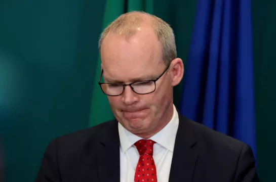 Katherine Zappone Did Not Lobby For A Job, Says Simon Coveney