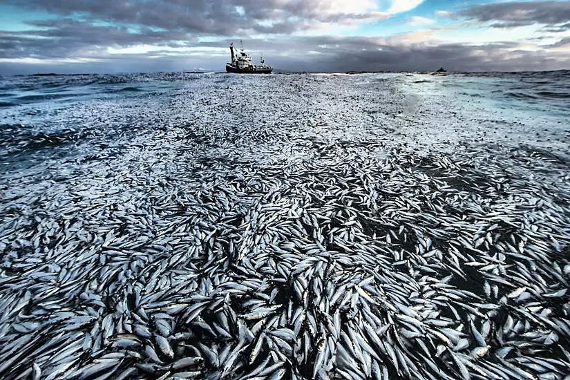 Photo Exhibition Highlights ‘Planet Under Pressure’