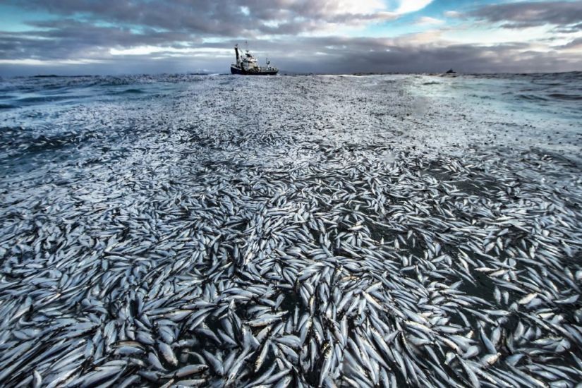 Photo Exhibition Highlights ‘Planet Under Pressure’