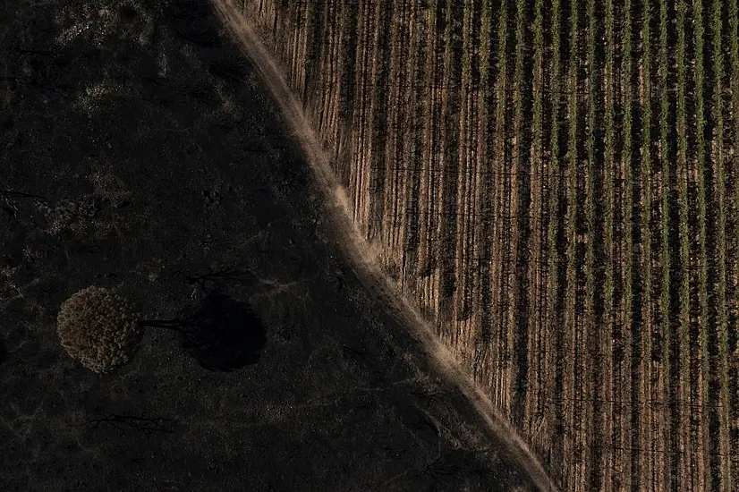 Winemakers Count The Cost Of Vineyard Fires Near French Riviera