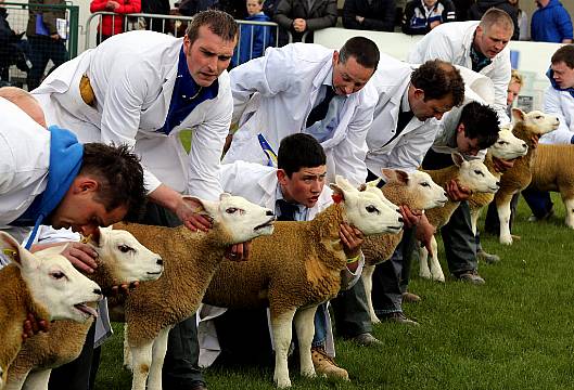 Walk-In Vaccination Clinics Planned For North's Largest Farming Festival