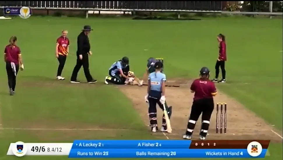 Dog Brings Cricket Match To A Halt By Playing Fetch With Ball