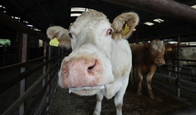 New Climate Action Plan To Be Published In October, Says Eamon Ryan