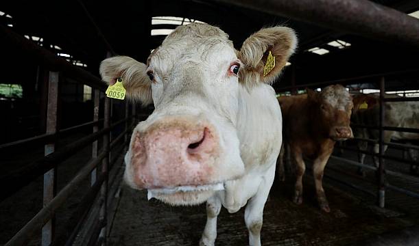 New Climate Action Plan To Be Published In October, Says Eamon Ryan