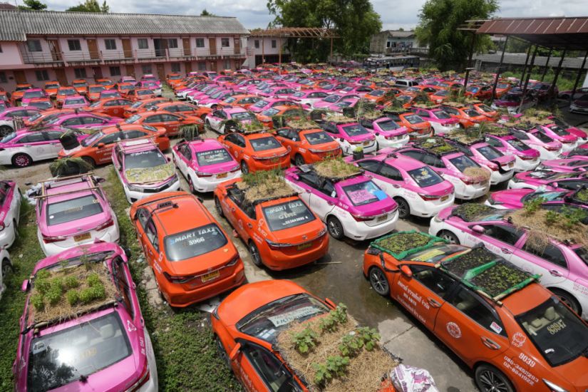 Idle Thai Taxis Go Green With Mini Gardens On Car Roofs