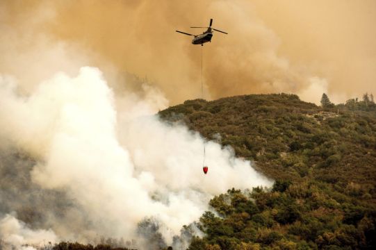 California Forest Fires Threaten World’s Largest Trees