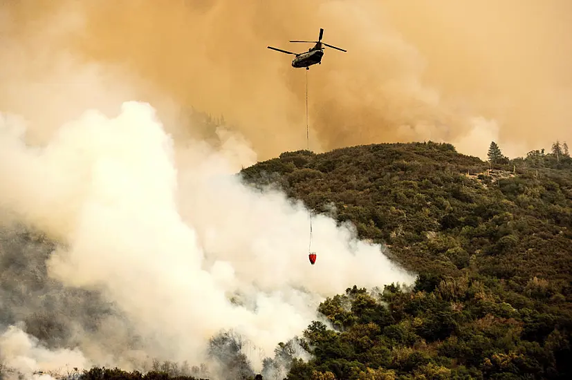 California Forest Fires Threaten World’s Largest Trees