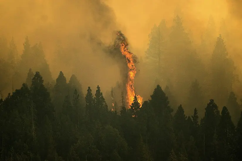 Fire Crews Struggling To Save California Giant Sequoias