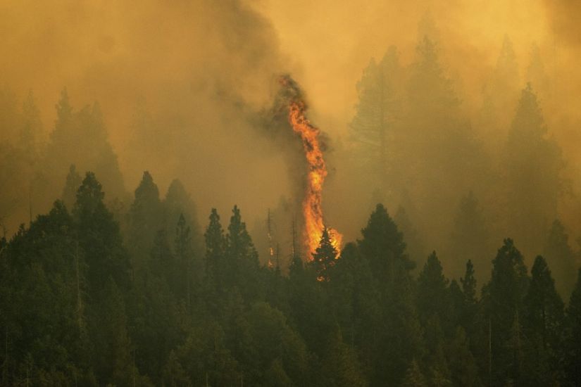 Fire Crews Struggling To Save California Giant Sequoias