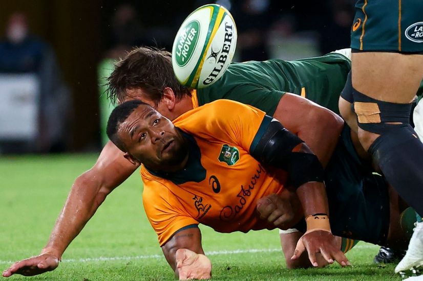 Wallabies Hand Springboks Another Reality Check With 30-17 Win