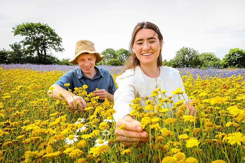 Birds And Bees ‘Secret Weapons’ To Raising Happiness Levels