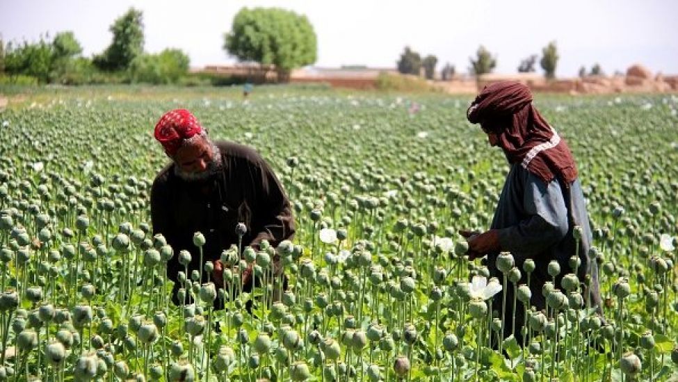 India Seizes €2.3Bn Afghan Heroin Haul Amid Kabul Takeover Chaos