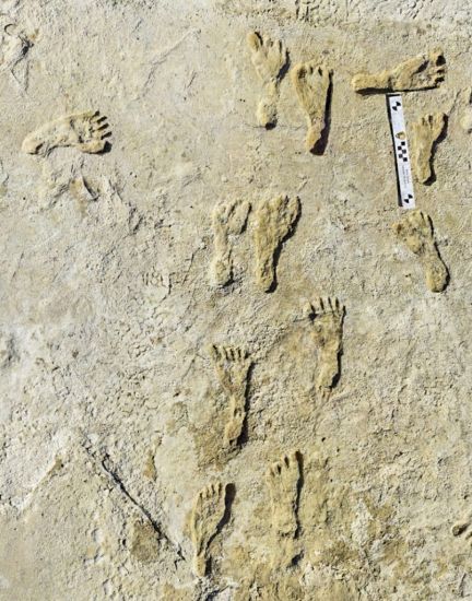 Fossil Footprints Suggest Early Humans Walked In North America 23,000 Years Ago